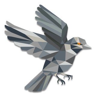 Sparrow Wallet logo